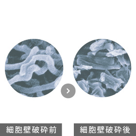 細胞壁を破砕して成分をまるごと抽出