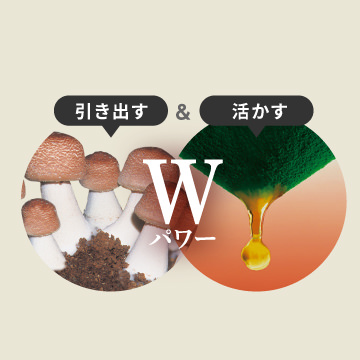打ち克つチカラを引き出す＆活かすWパワーサン・クロレラ アガリクスだからこそ実現！