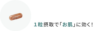１粒摂取で「お肌」に効く！