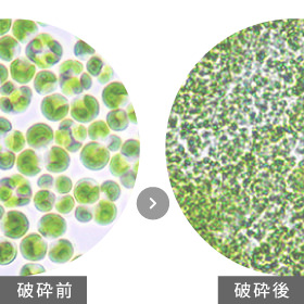 独自技術の細胞壁の破砕処理で消化率UP！栄養素を逃がさず摂取