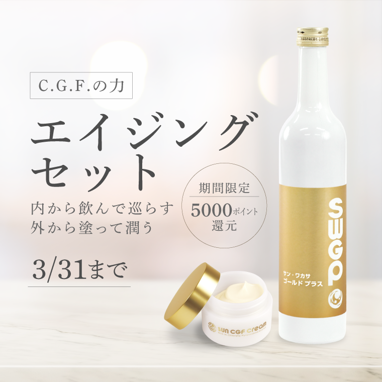 エイジングケアセット